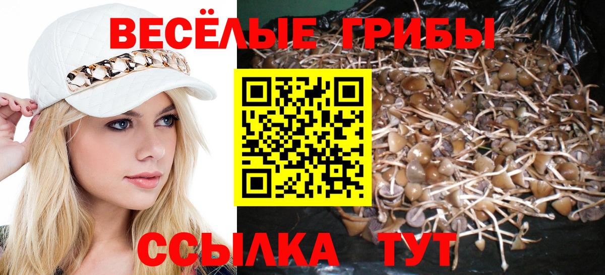 Галлюциногенные грибы Psilocybe  Галлюциногенные грибы ЛСД  Можга  купить   Вход с VPN 